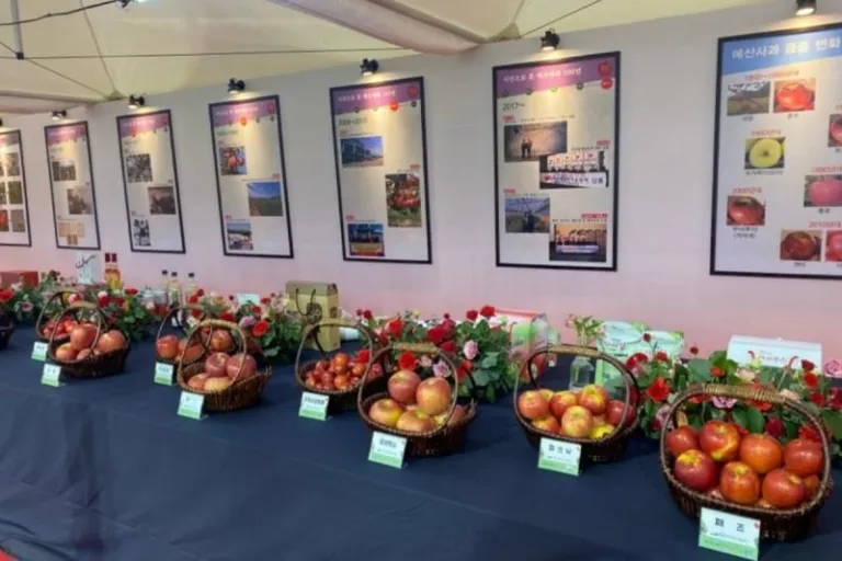 Yesan Apple Festival
