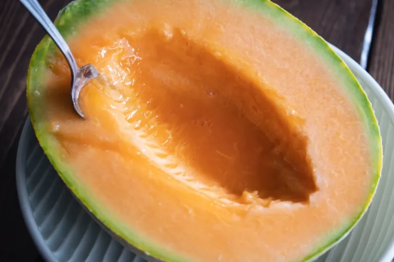 yubari melon