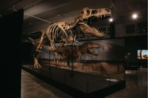 Image for article Science Centre Singapore to Unveil New Dinosaur Exhibit in October