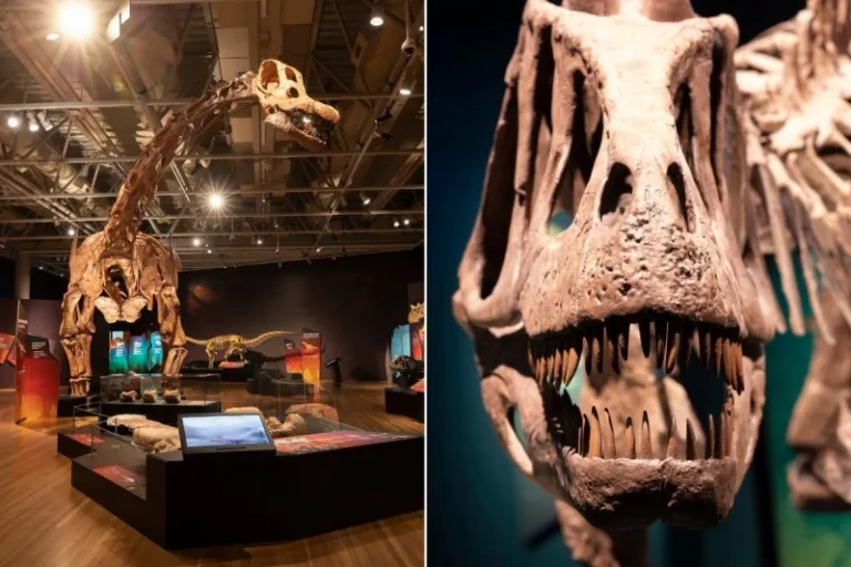 dinosaur science centre