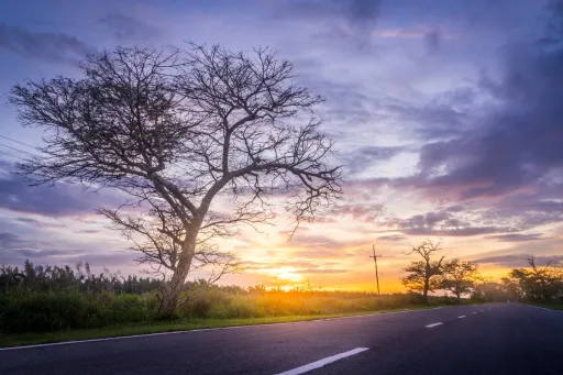 Image for article What Makes Sarawak Special? The Untold Wonders of Borneo’s Hidden Gem