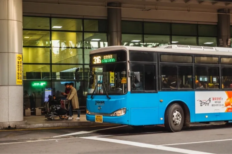 jeju bus