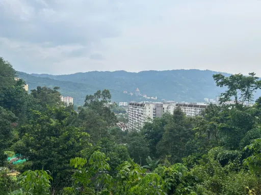 Image for article Bukit Hijau Hiking Trail: A Hidden Gem Hiking Trail in Penang