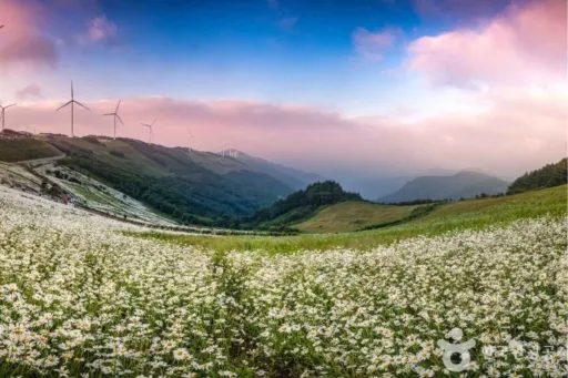Image for article Discover Korea’s Hidden Gems with Park Bo Gum Through Stunning Videos