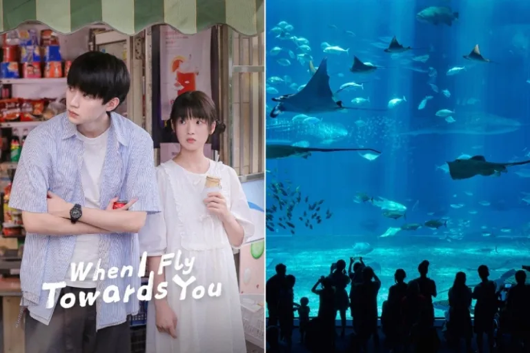 when i fly towards you