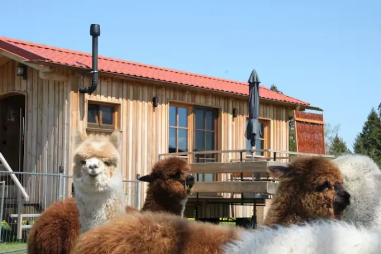 rustic Airbnb stays in Bavaria