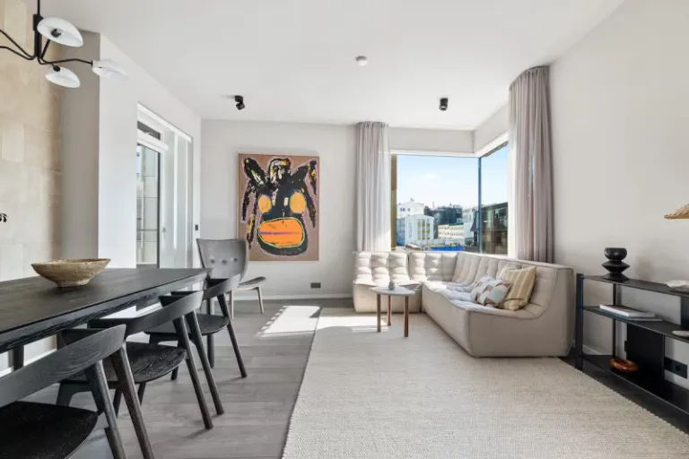 Airbnbs in Reykjavik