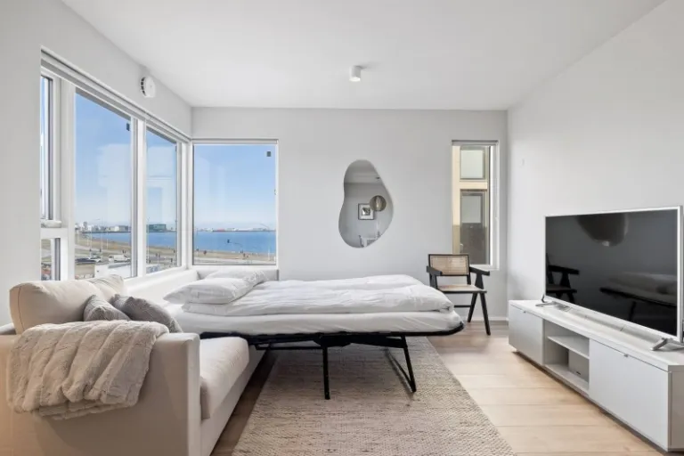 Airbnbs in Reykjavik