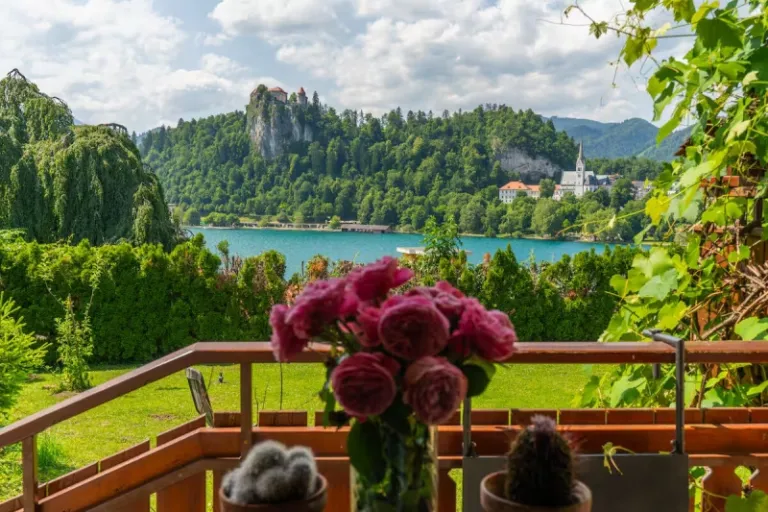 Airbnb stays in Bled with amazing view