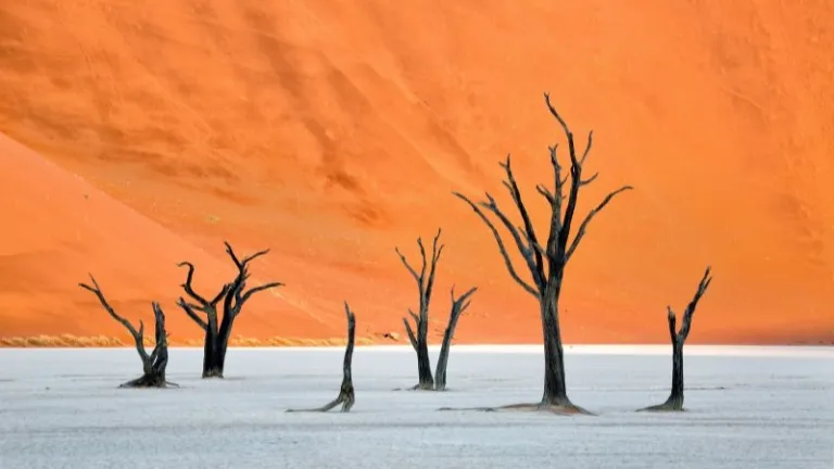 Deadvlei, Namibia