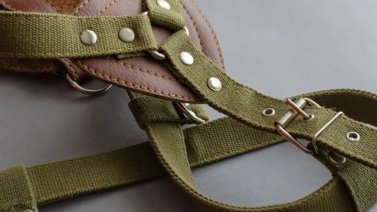 dog harness