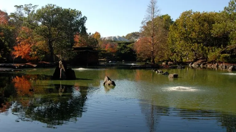 Japanese garden in Auburn Botanic Garden