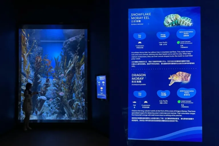 Singapore Oceanarium