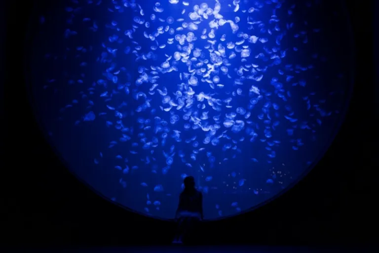 Singapore Oceanarium