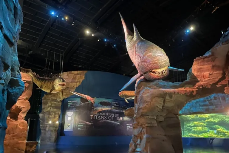 Singapore Oceanarium