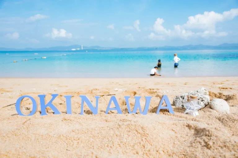 ana airlines flight deal 2025