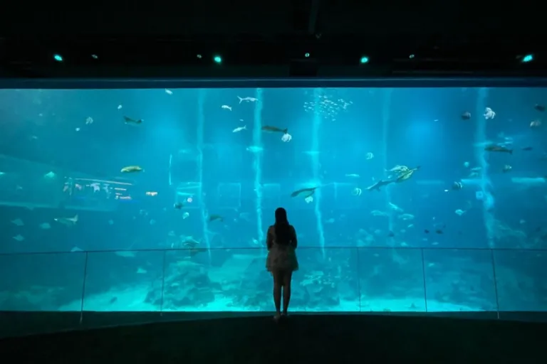 Singapore Oceanarium