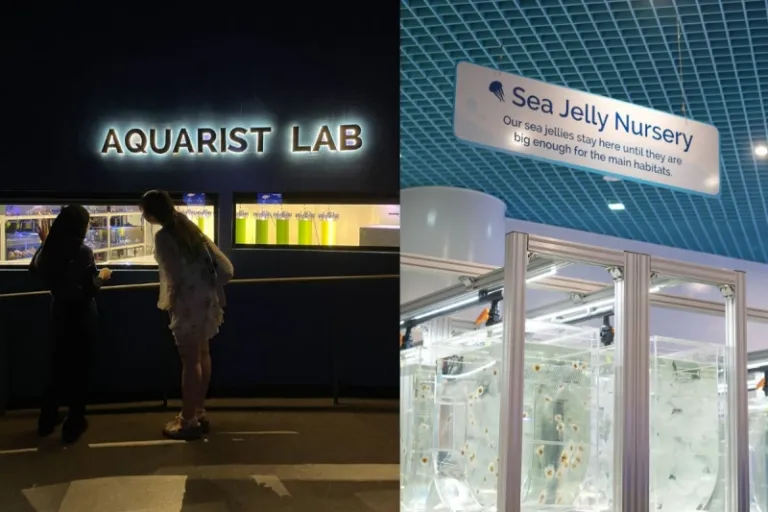 Singapore Oceanarium