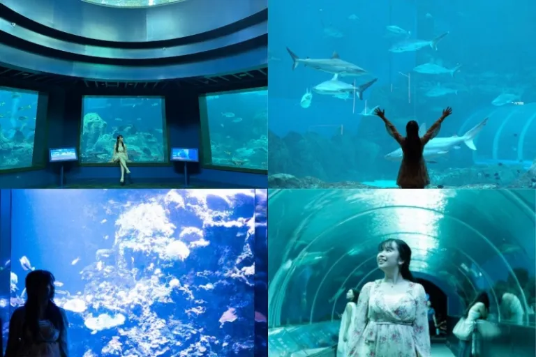 Singapore Oceanarium
