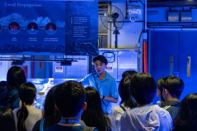 Singapore Oceanarium