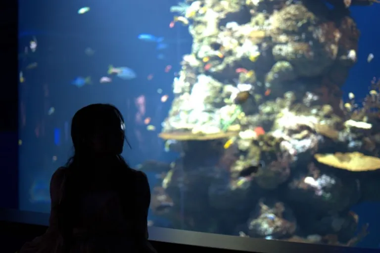 Singapore Oceanarium