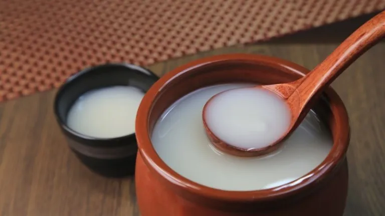 Makgeolli tasting