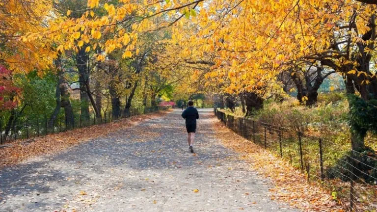 Running the Central Park Loop