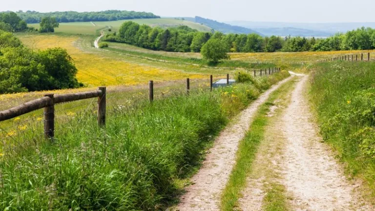 South Downs Way, UK