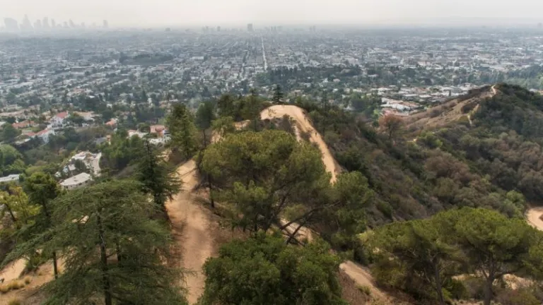 Griffith Park Trails, Los Angeles, USA