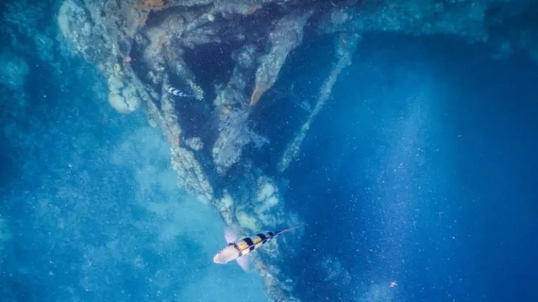 skeleton wreck coron