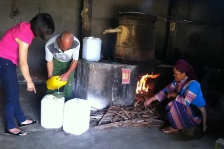 corn wine sapa
