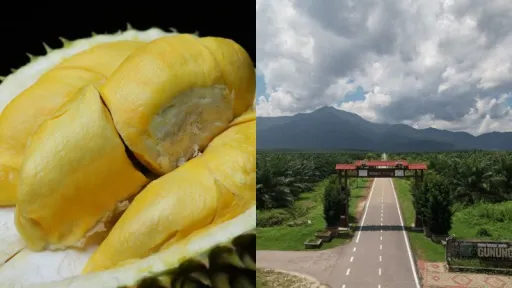 Image for article Things to Do in Tangkak, Johor: A One-Day Itinerary for Your Next Weekend Getaway