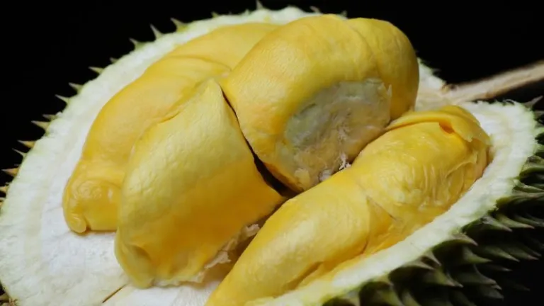 Opened durian
