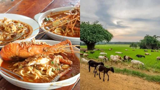 Image for article A Guide to Johor’s Cities: Things to Do in Johor Bahru, Kulai, Kota Tinggi, and More