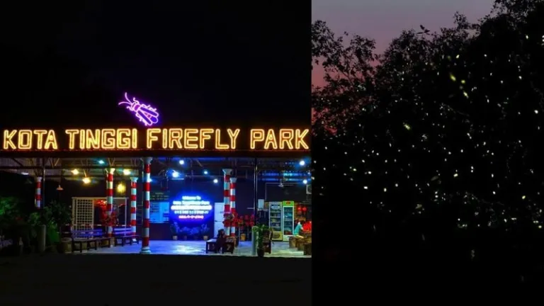 Kota tinggi firefly park