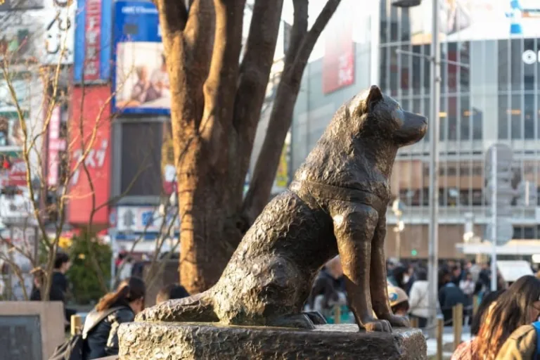 hachiko shibuya