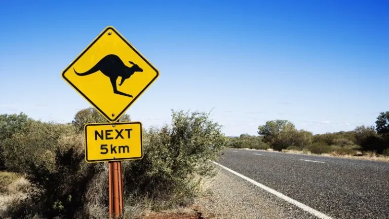 Australia kangaroo crossing sign