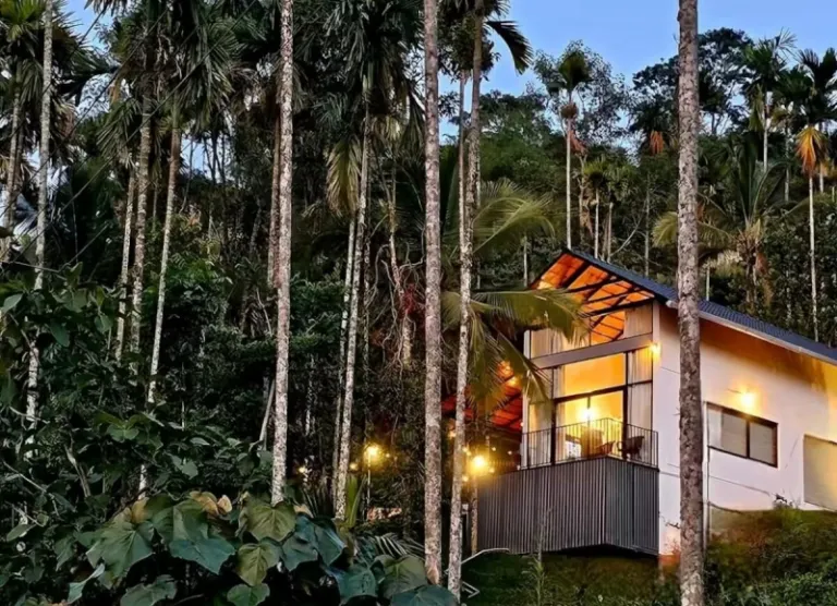 glass cabin Airbnb stays in Kerala