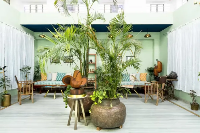 nature themed Airbnb stays in Jaipur