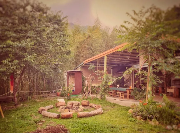 Airbnbs in Alishan