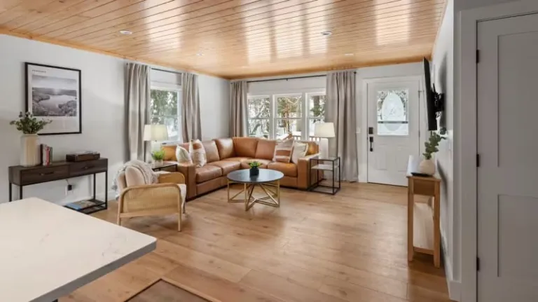 forest Airbnbs in Stowe