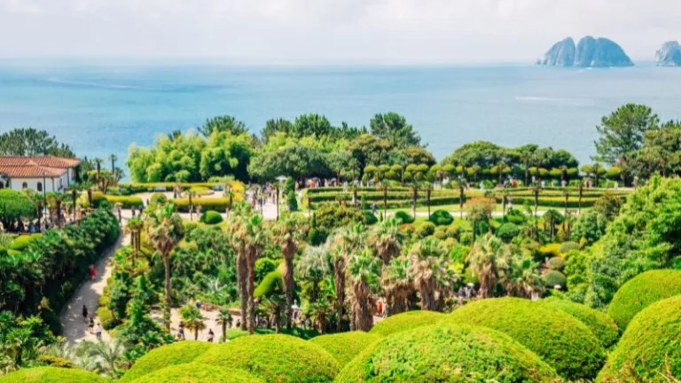 Oedo Botania island garden