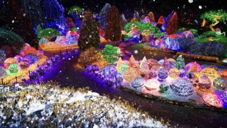 Garden of Morning Calm light festival