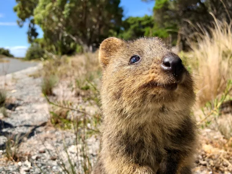 australia in the warmer months