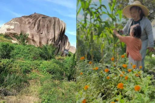 Image for article 12 Best Things to Do Near Johor Bahru (JB) for Nature Lovers