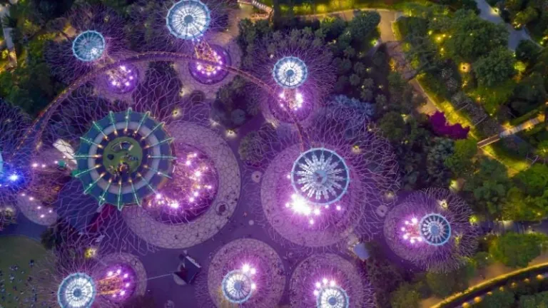 Singapore supertree grove at night