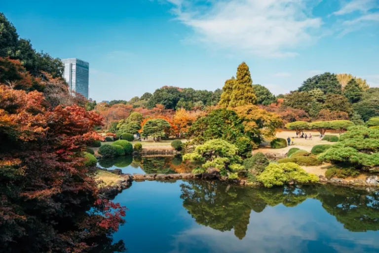 shinjuku gyoen