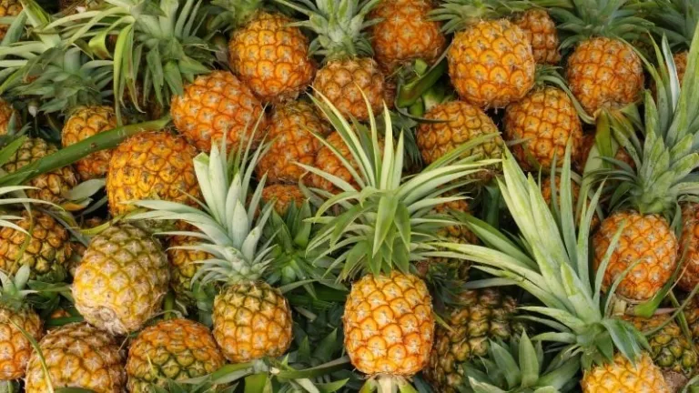 pineapples
