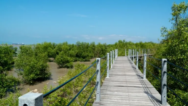 Tanjung Piai National Park