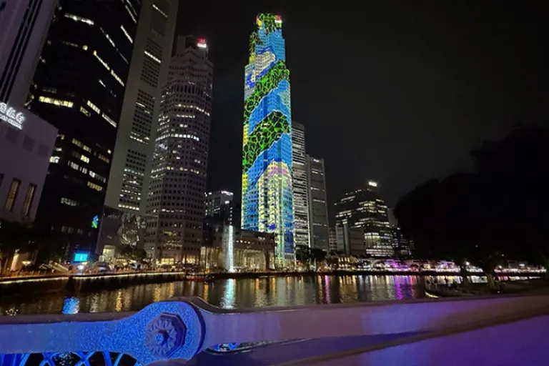 Cavenagh bridge view